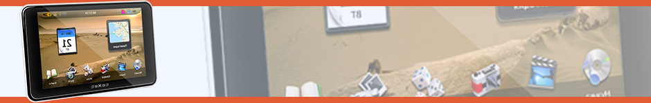 Ремонт навигаторов в Житомире